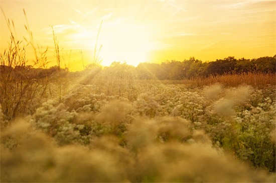 大学艺术设计论文