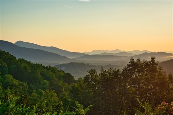 培训机构招生策划