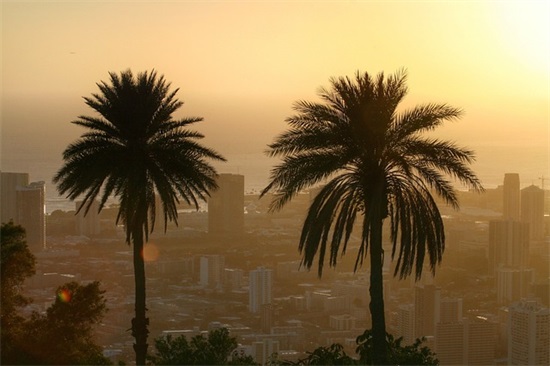 带重生的名字女生高级网名