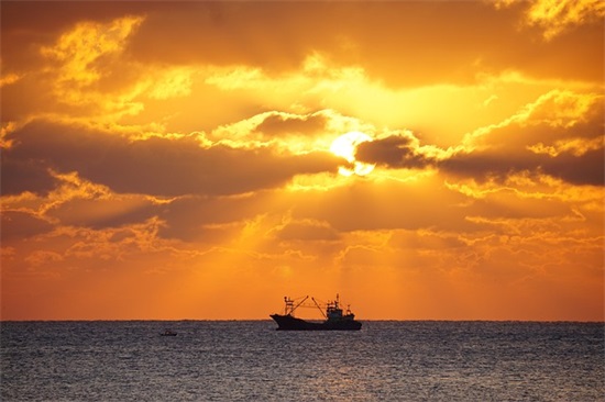 软萌心机游戏名