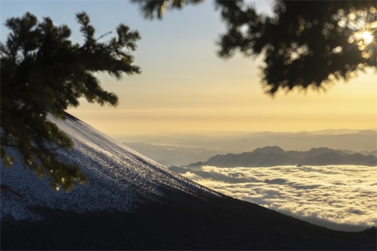 带绿字的鹿网名大全