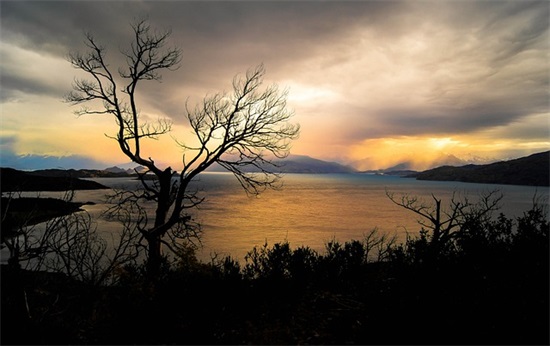 带龙的霸气超拽个性网名