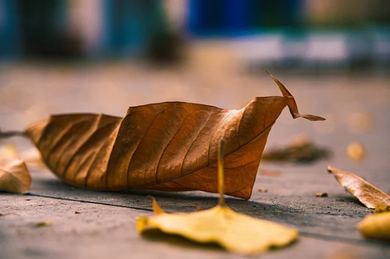 带龙字的霸气个性网名