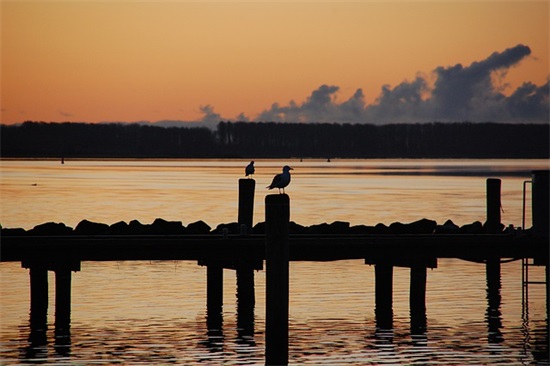 绝地吃鸡霸气英文名 [52个]