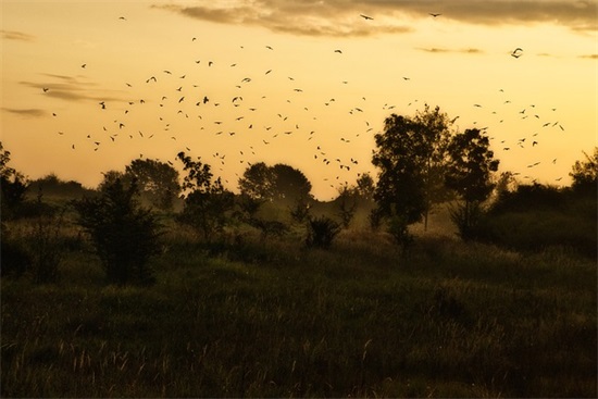 大学毕业赠言给同学90句