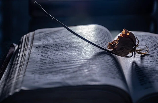 一句话打动女孩子100句