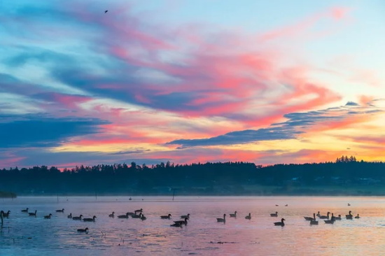 感恩客户寄语-59句