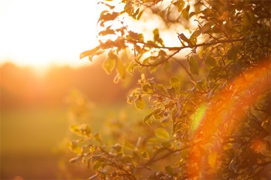 幼儿园老师的学习的寄语和期望-50句