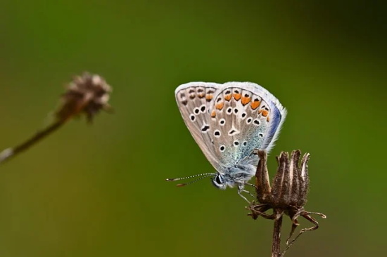 家人的寄语 【家人的寄语是我们前行的动力】 家人的寄语 【家人的寄语是我们前行的动力】