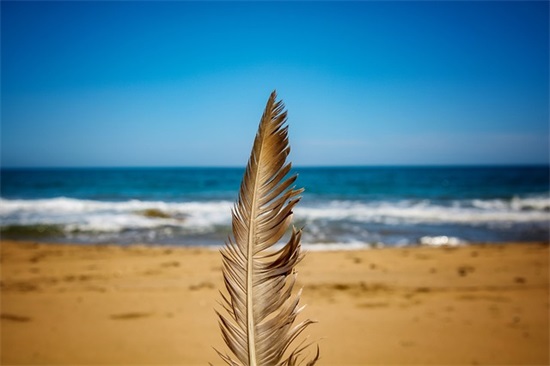 幼儿园学前班毕业给老师寄语 【幼儿园学前毕业老师给孩子的寄语】 幼儿园学前班毕业给老师寄语 【幼儿园学前毕业老师给孩子的寄语】