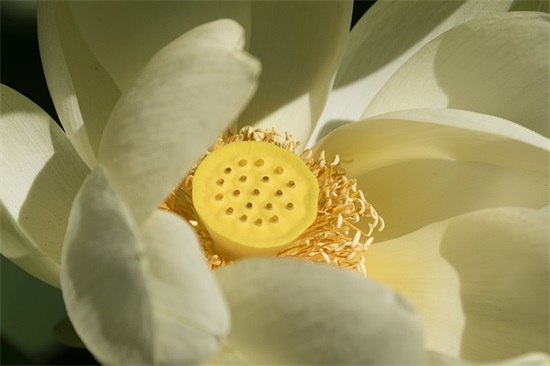 小学毕业任课老师寄语 【小学毕业生教师寄语一句话唯美】 小学毕业任课老师寄语 【小学毕业生教师寄语一句话唯美】