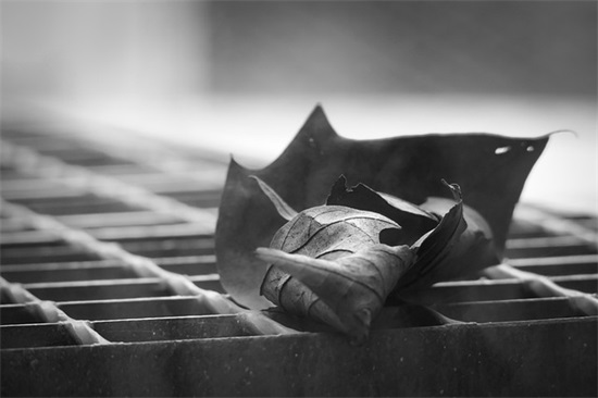 对初一儿子的希望和寄语 【对初一儿子的希望和寄语怎么写】