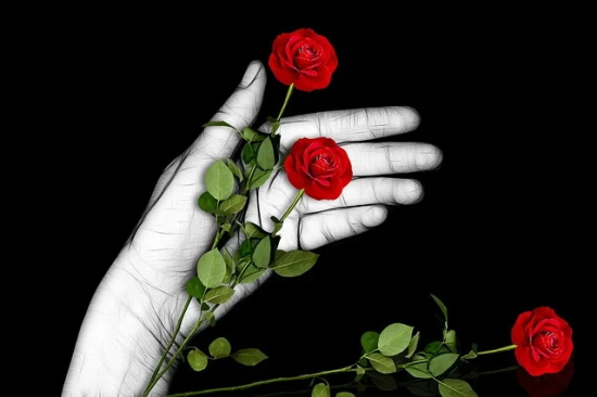 孩子毕业给孩子的寄语 【孩子毕业给孩子的寄语短句】