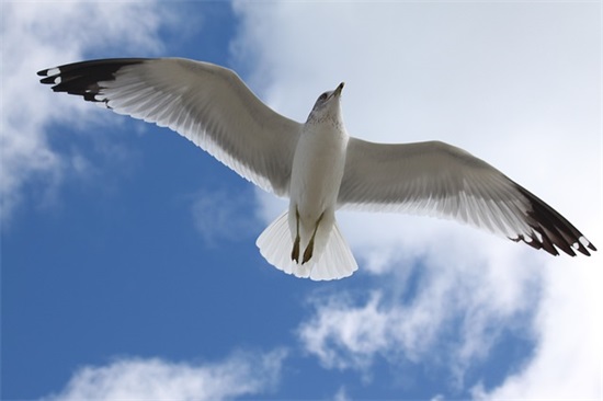 古风意境文案(有意境的古风句子文案)