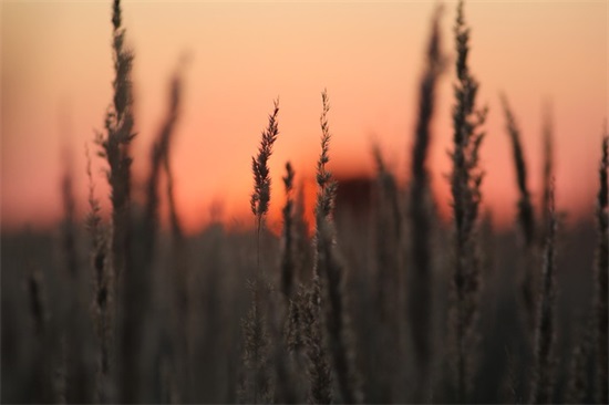 湖北武汉抗击疫情正能量励志句子