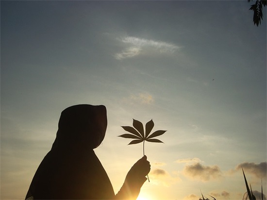 关于工作压力大的句子 工作压力句子