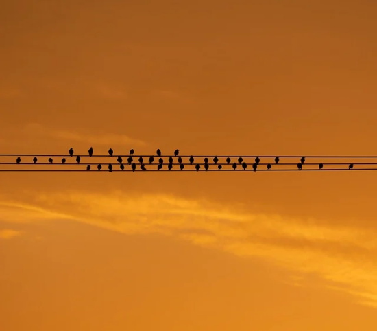 关于迷失方向的句子93句