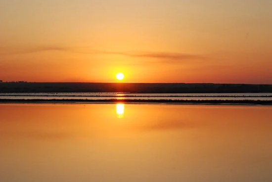 咖啡的优美句子69句