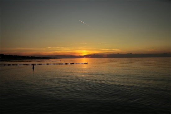 爱情悲伤的句子83句