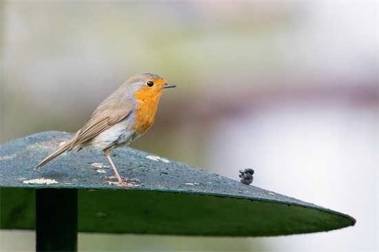 内心伤感的句子113句