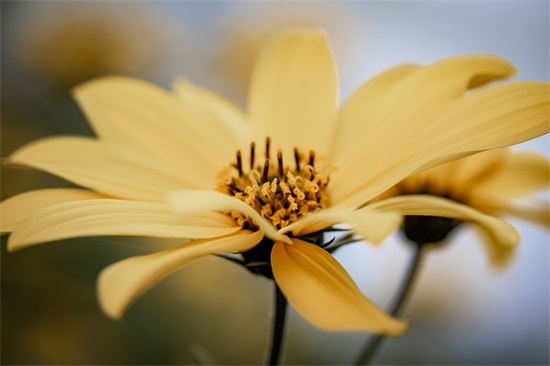 阴阳相隔最伤感的句子 失去亲人最心痛的句子