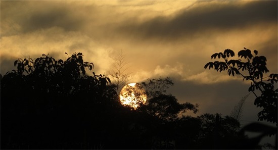 倾尽天下乱世繁华句子81句