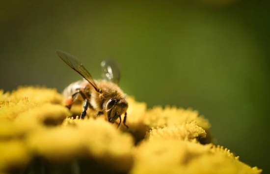 现在最牛的网名(360个)