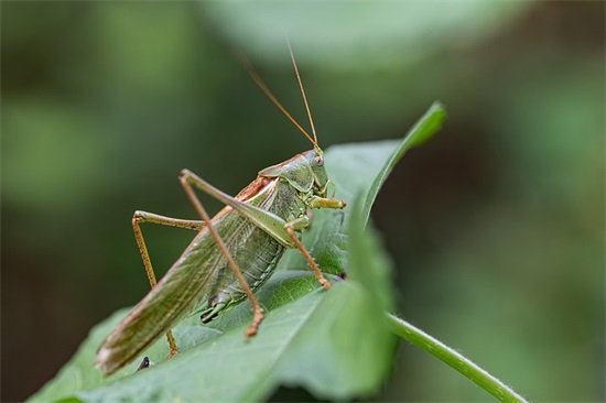 QQ飞车最好听的名字(共359个)