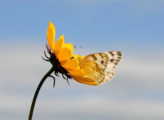 如何写孩子们的寄语-100句