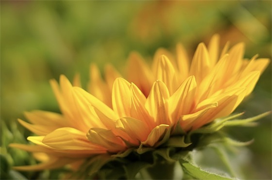 小学生毕业典礼寄语-100句