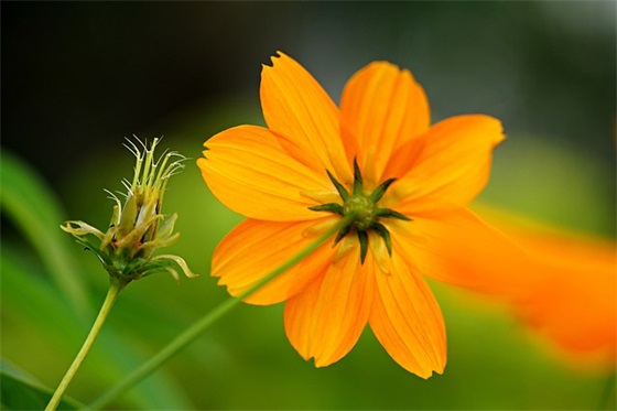 父母写给六年级孩子毕业鼓励寄语-91句