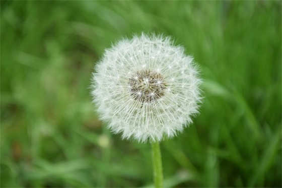 优秀毕业生寄语 【优秀毕业生寄语150字】