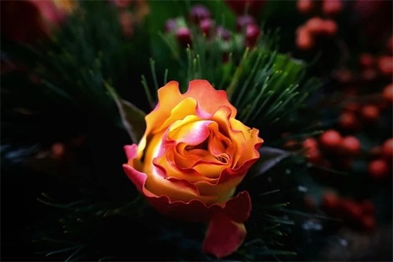 父母对幼儿寄语简短中班 【幼儿园中班父母对孩子的简短寄语大全】