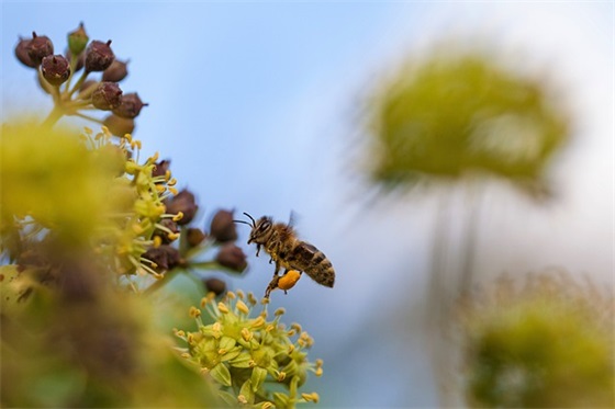 对故人的寄语 【清明节对故人的寄语】
