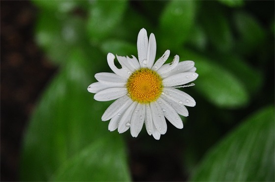 大班幼儿离园寄语简短 【大班幼儿离园寄语简短精辟】