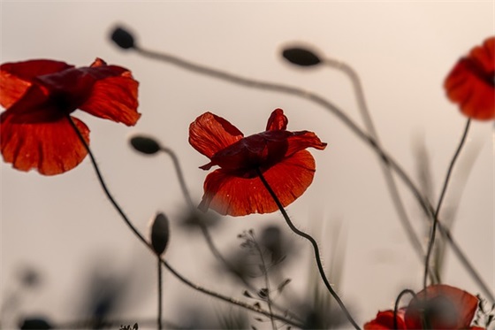 孩子六一家长寄语 【六一家长一段寄语给孩子】