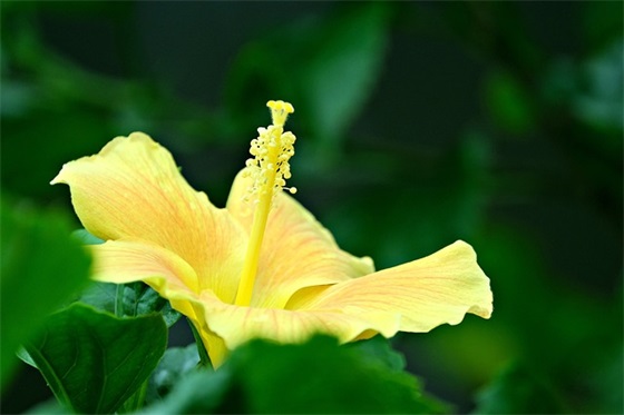 家长给高二学生的寄语简短 【家长对高二学生的祝福语】