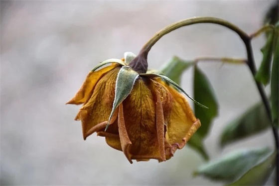 赠女儿毕业寄语 【赠女儿毕业寄语大全】