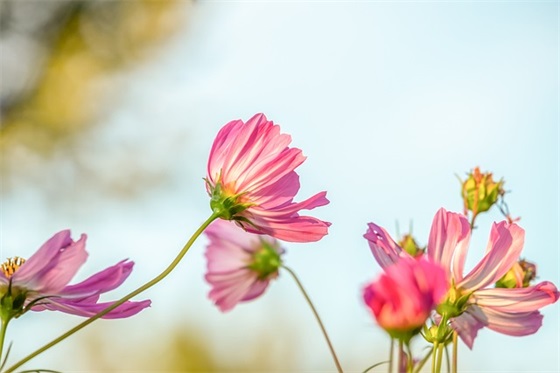 班主任学生寄语 【班主任学生寄语简短】