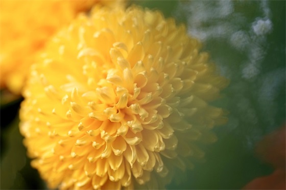 评三好学生家长寄语 【三好学生家长评价寄语】