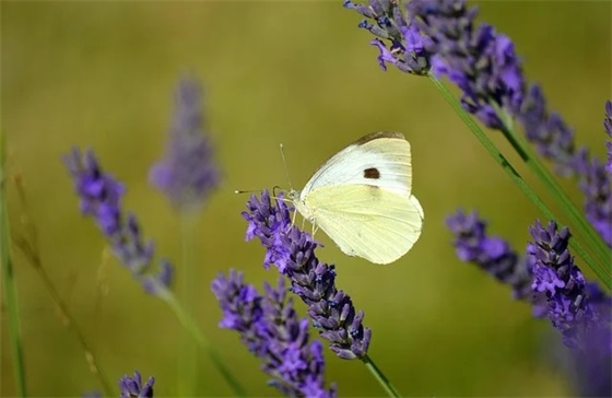给孩子成人礼的寄语 【给孩子成人礼的寄语和高考期望的一封信】