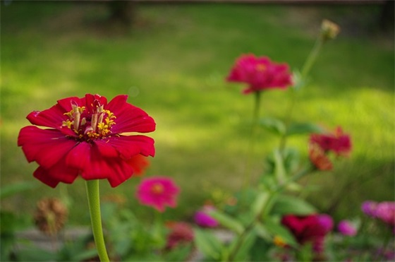 小学生家长对孩子的鼓励和期望寄语 【小学生家长对学生的寄语】