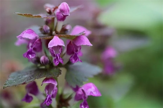 家长给初三孩子的寄语200字 【家长给初三孩子的寄语300字】