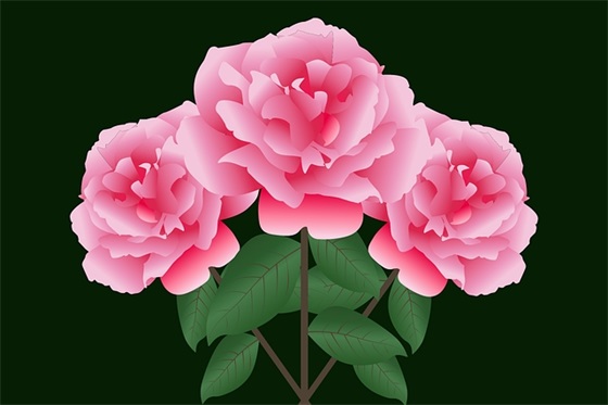 小学生同学寄语 【小学生同学寄语简短精辟】