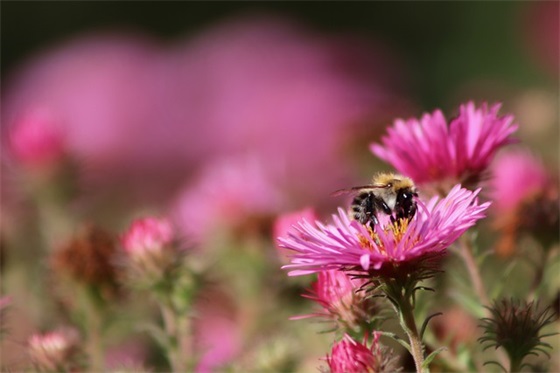 最新建团100周年寄语句子