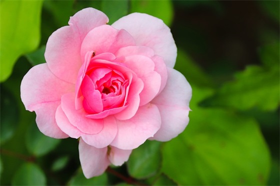 大学同学离别伤感的句子80句