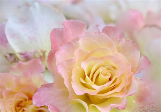 2025爆笑的幽默句子大全 幽默句子大全 爆笑