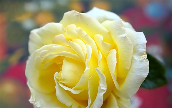 励志的句子霸气句子