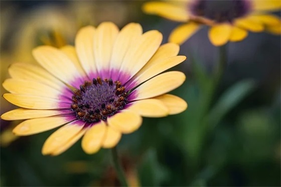 天气变冷注意保暖句子