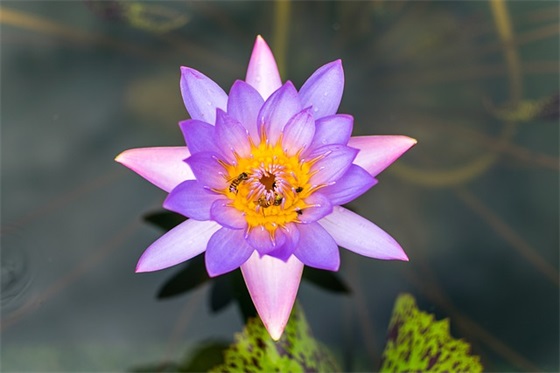 2025中考最后冲刺励志祝福句子